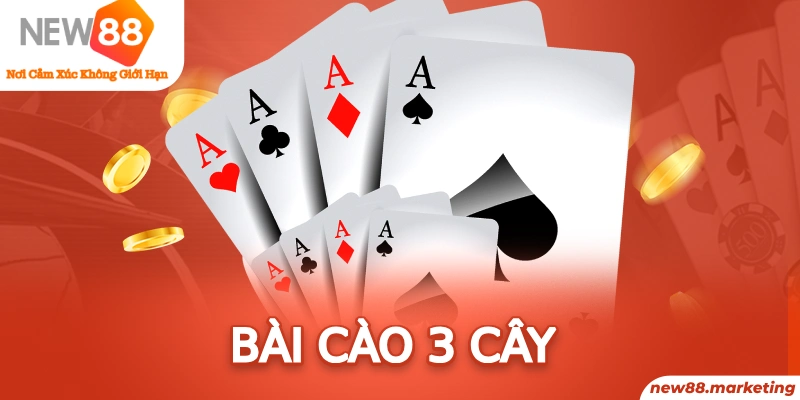 1gom 78 vảy gà tốt nên chọi