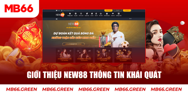 1gom c1 gà chọi