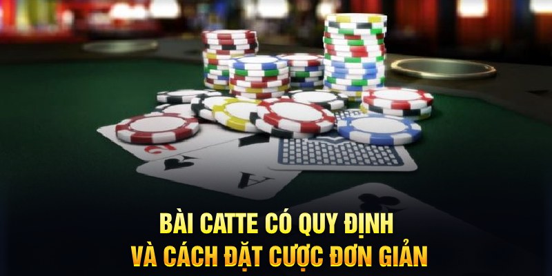 1gom Tung Đồng Xu