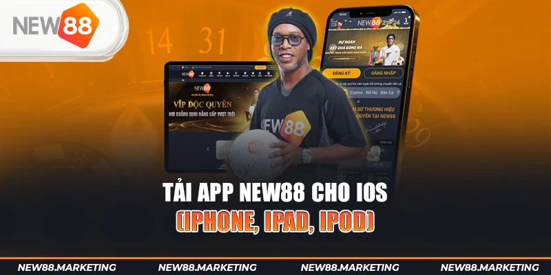 1gom gà chọi cậu thanh