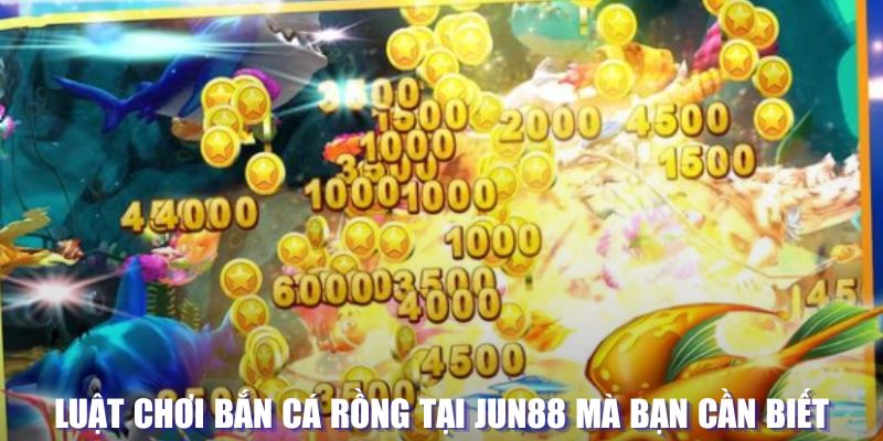 1gom xổ số đài hà nội