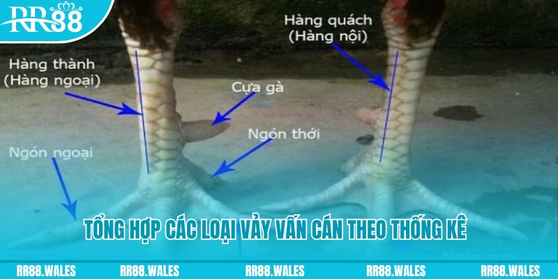 1gom casino hồ tràm có cho người việt vào không
