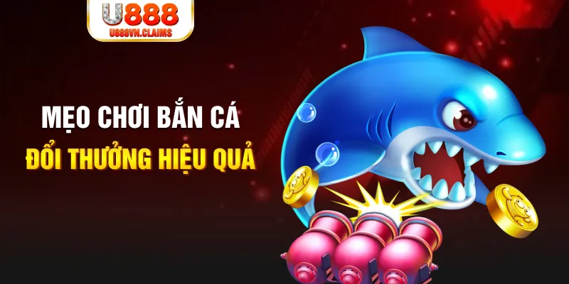 1gom gà chọi cam ranh
