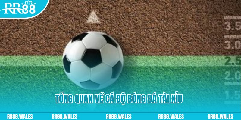 1gom đăng nhập roulette online