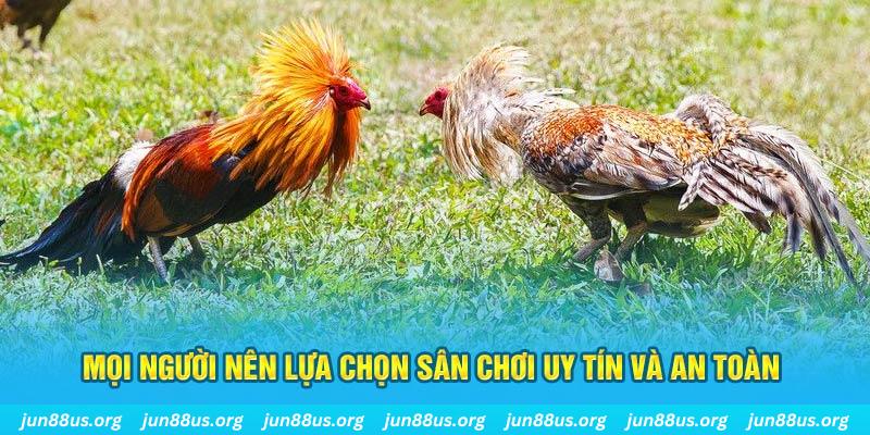 1gom Cỡ bảy