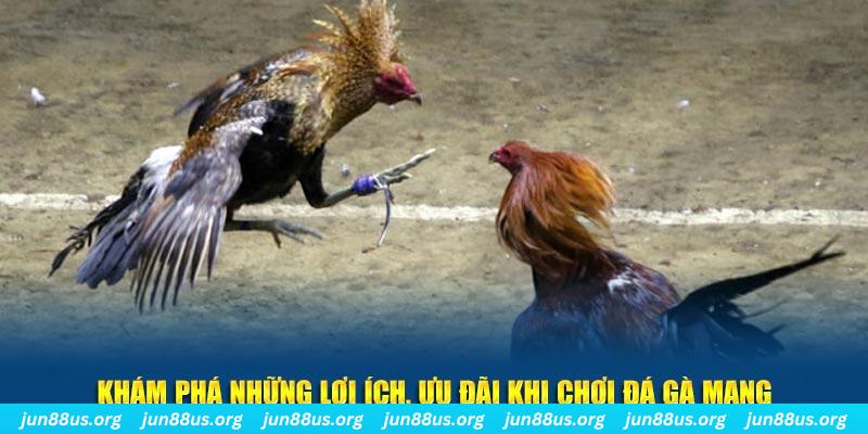 1gom đăng nhập liêng live
