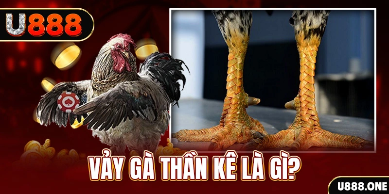 1gom đăng nhập poker khuyến mãi
