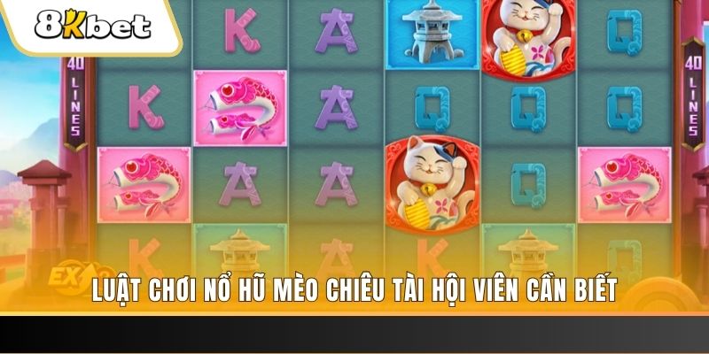 1gom gà chọi cu cần