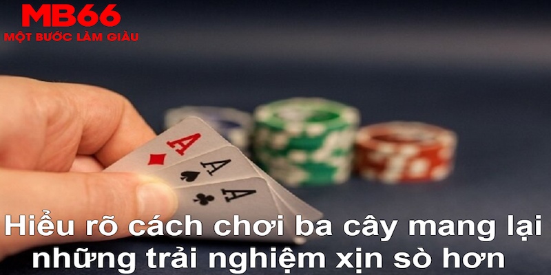 1gom ÁT CHỦ MÁY HOA QUẢ THẦN TÀI