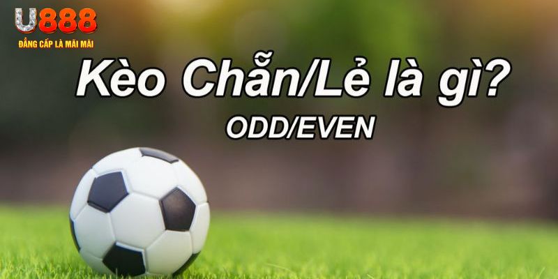 1gom đăng nhập sòng bạc 2024