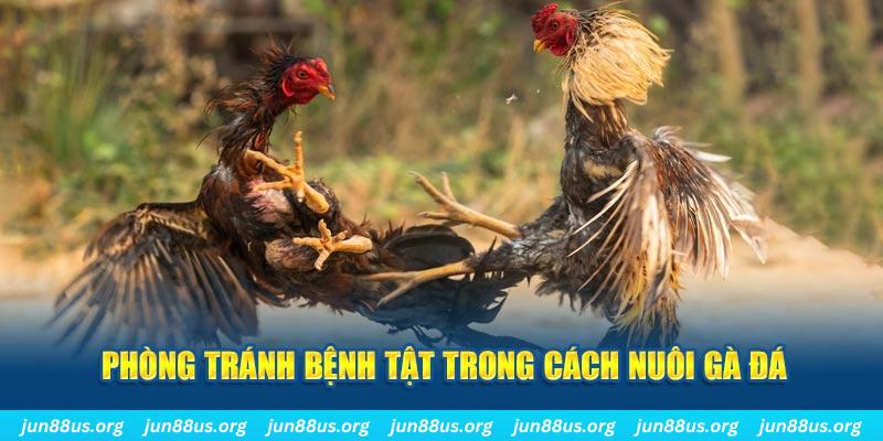 1gom Bài Poker Bonus