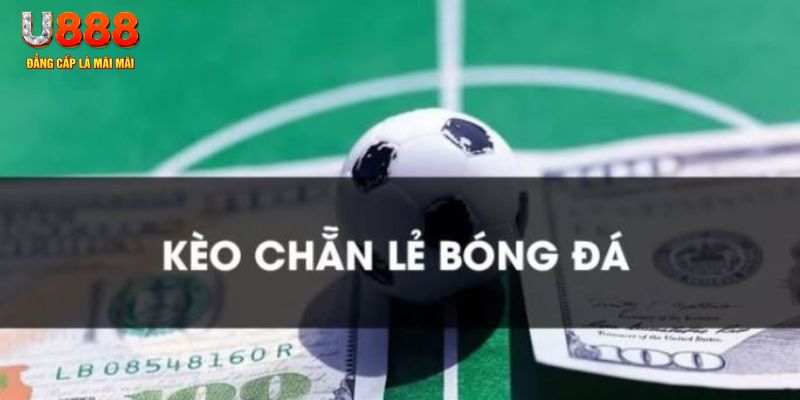1gom gà chọi c1.tv