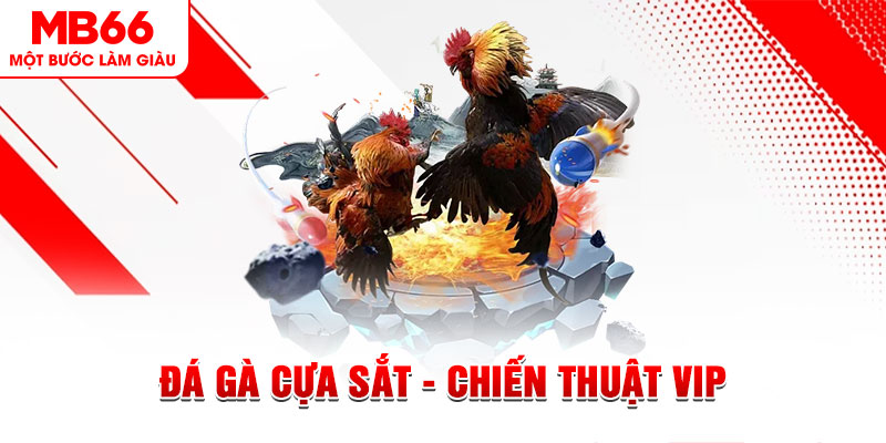 1gom ai tool nổ hũ